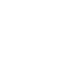 Weber's logo - white